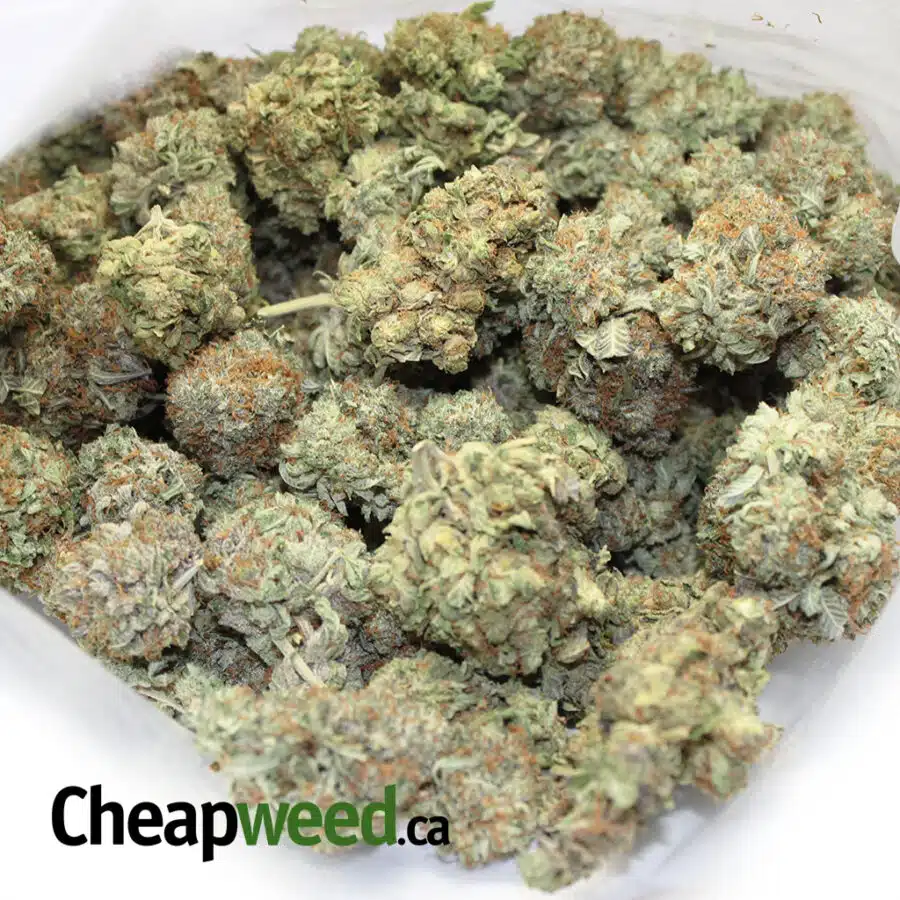 SELECT KINGS KUSH 1 I Select King's Kush