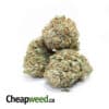 Select King's Kush