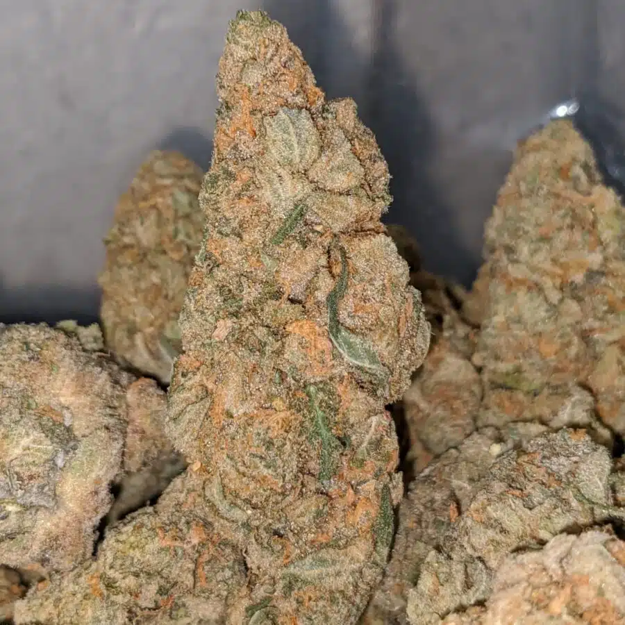 acdc dod 1 I ACDC - *Deal Of The Day*