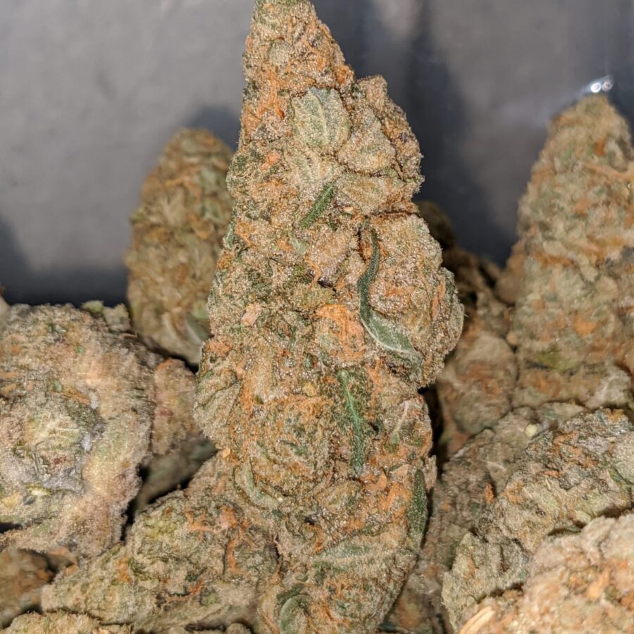 acdc dod 2 I ACDC - *Deal Of The Day*