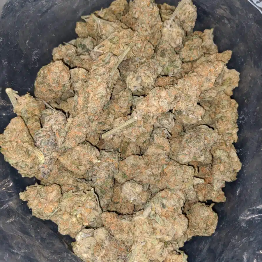 acdc dod 3 I ACDC - *Deal Of The Day*