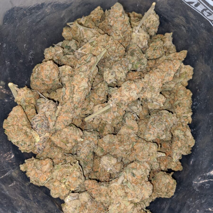 acdc dod 4 I ACDC - *Deal Of The Day*