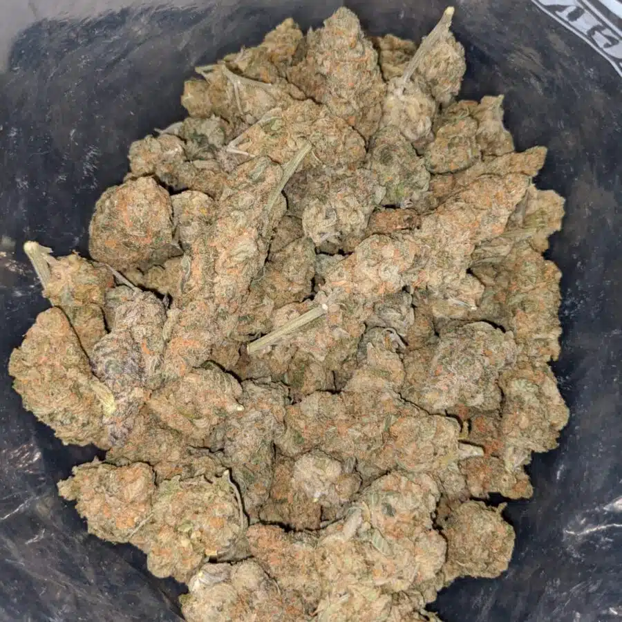 acdc dod 4 I ACDC - *Deal Of The Day*