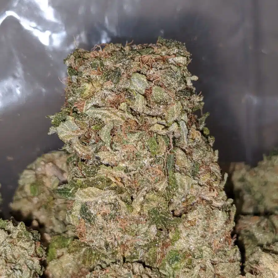 bubbleberry 1 I Bubbleberry