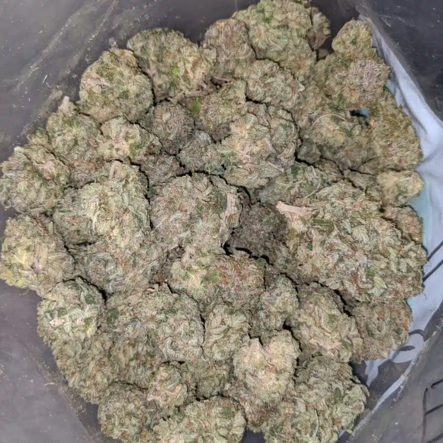 bubbleberry 4 I Bubbleberry