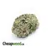 Classic Purple Kush