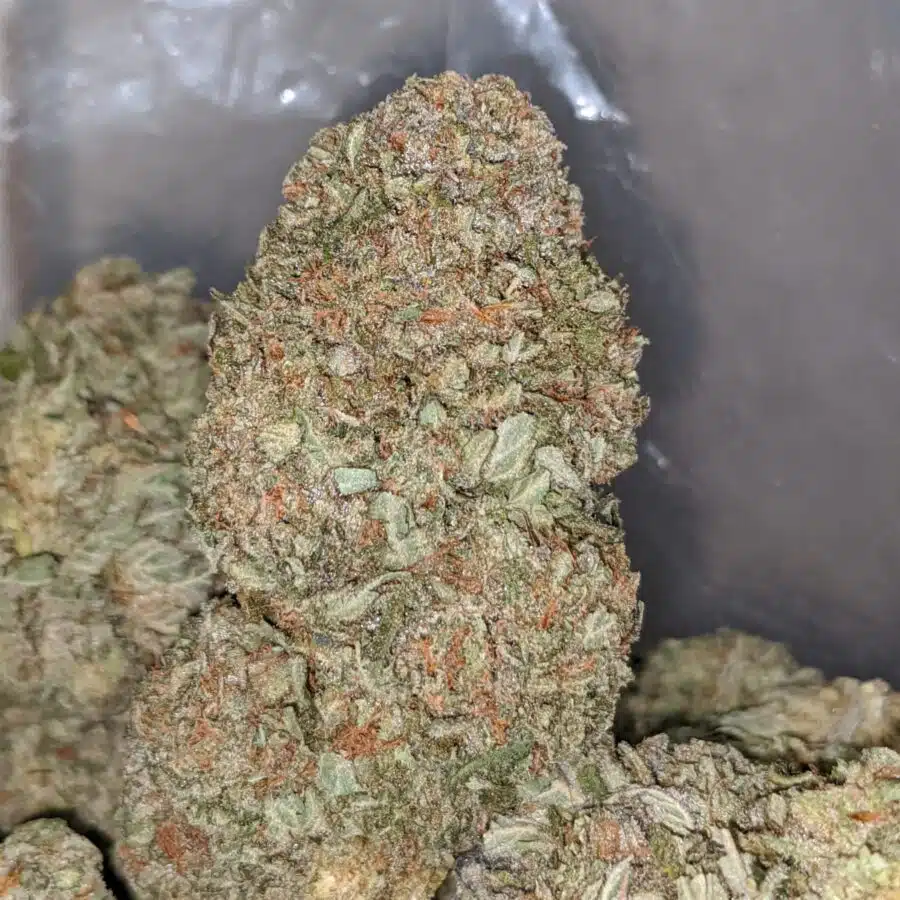 Death Punch - Image 4