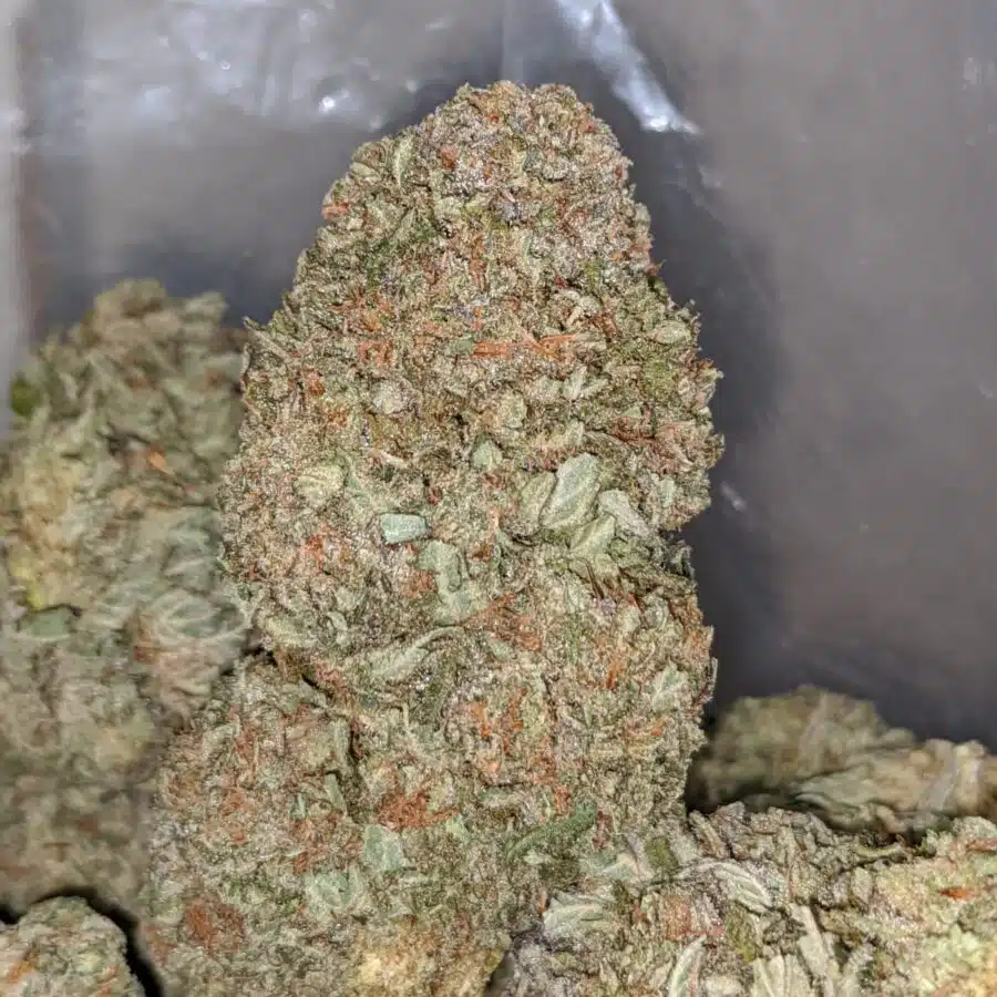 Death Punch - Image 7