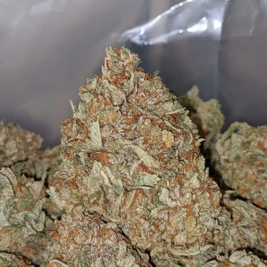 gasfuel og 1 I Gasfuel OG