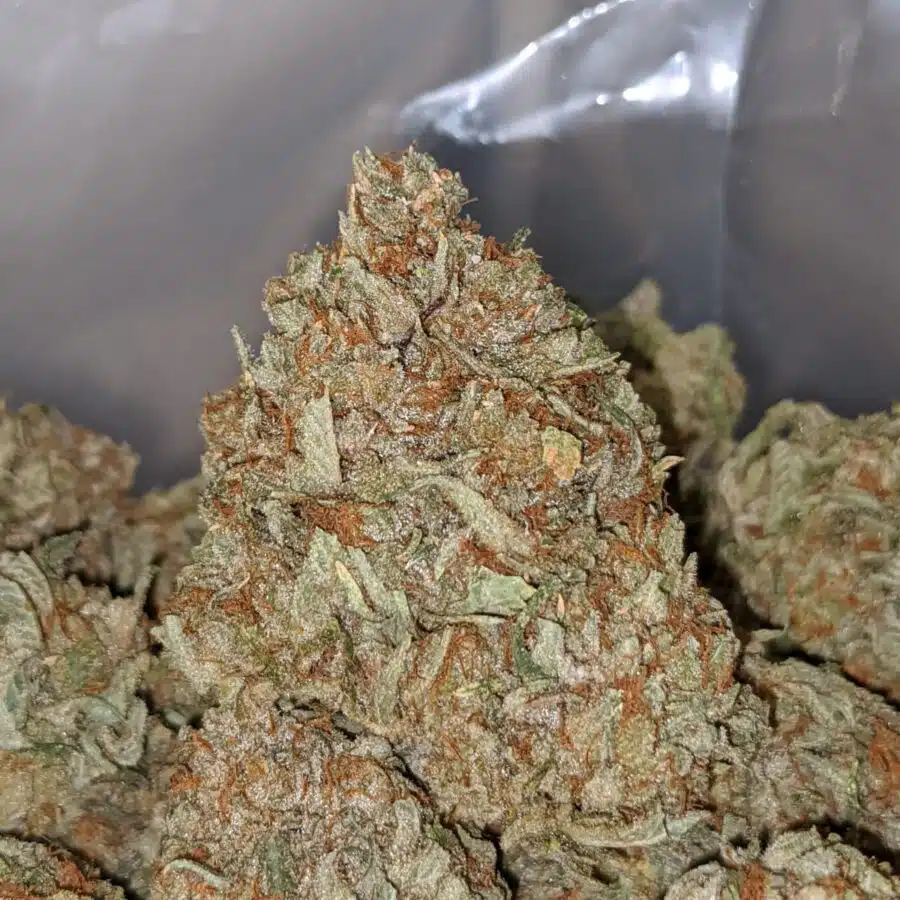 gasfuel og 2 I Gasfuel OG