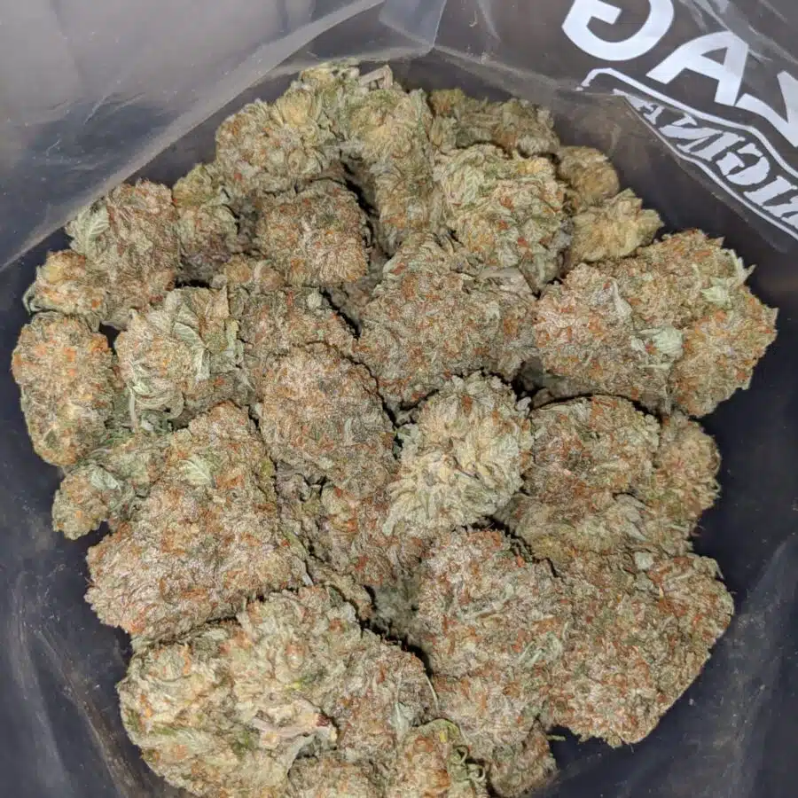 gasfuel og 3 I Gasfuel OG