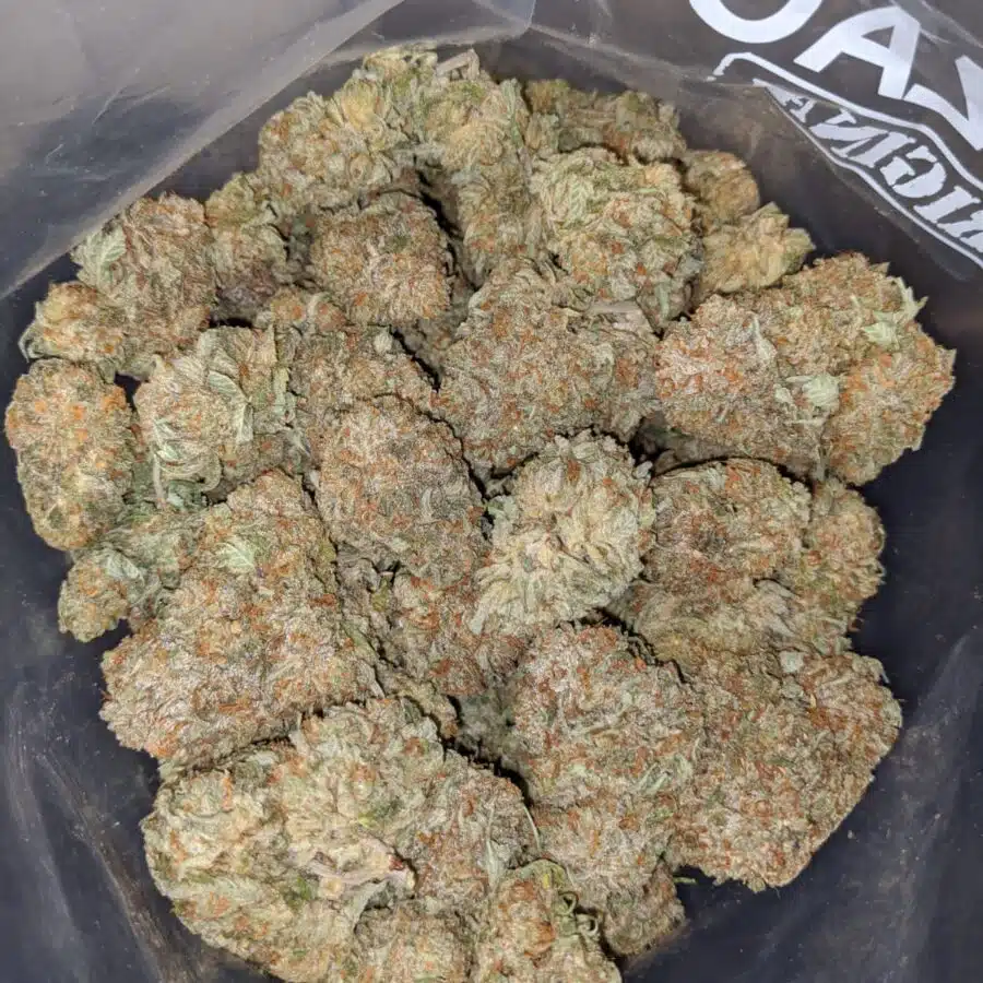 gasfuel og 4 I Gasfuel OG