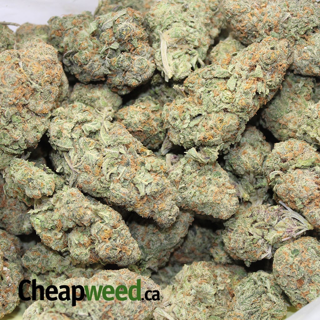 Greasy Nuken - Image 3