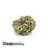 Green Tuna Kush