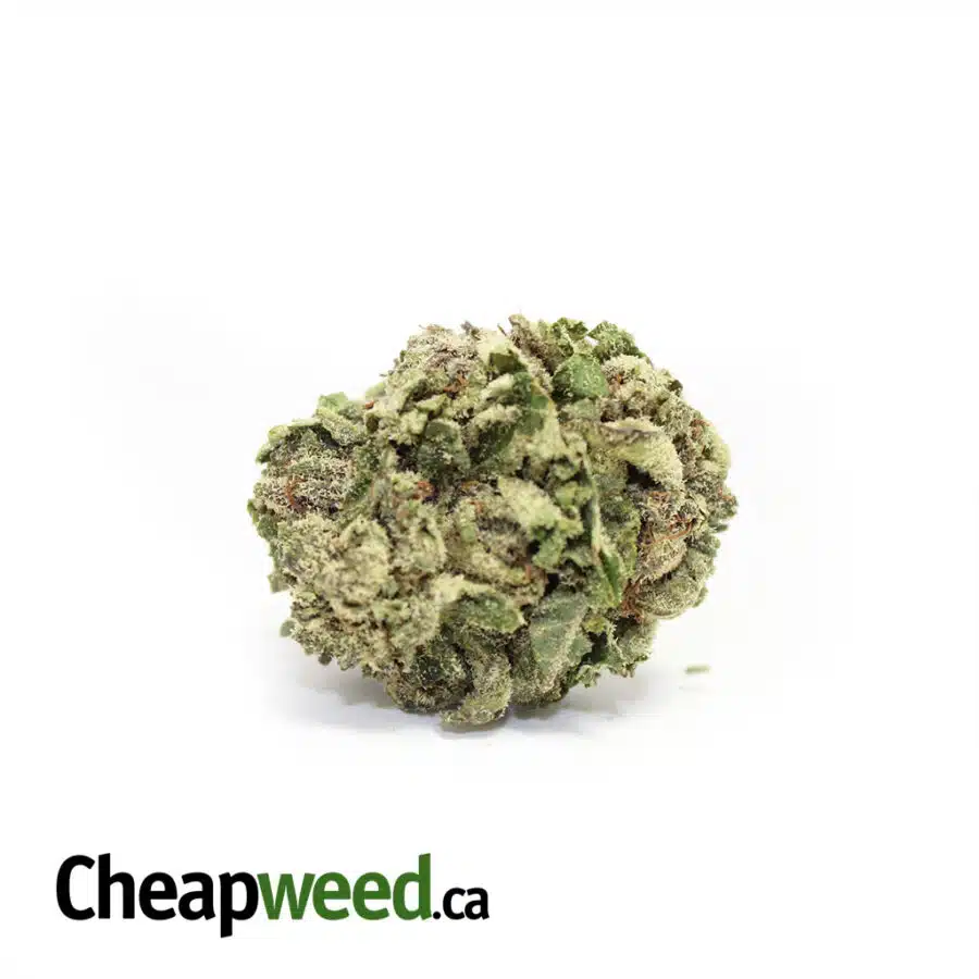 Green Tuna Kush