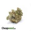 $99 Oz - Select Hybrid