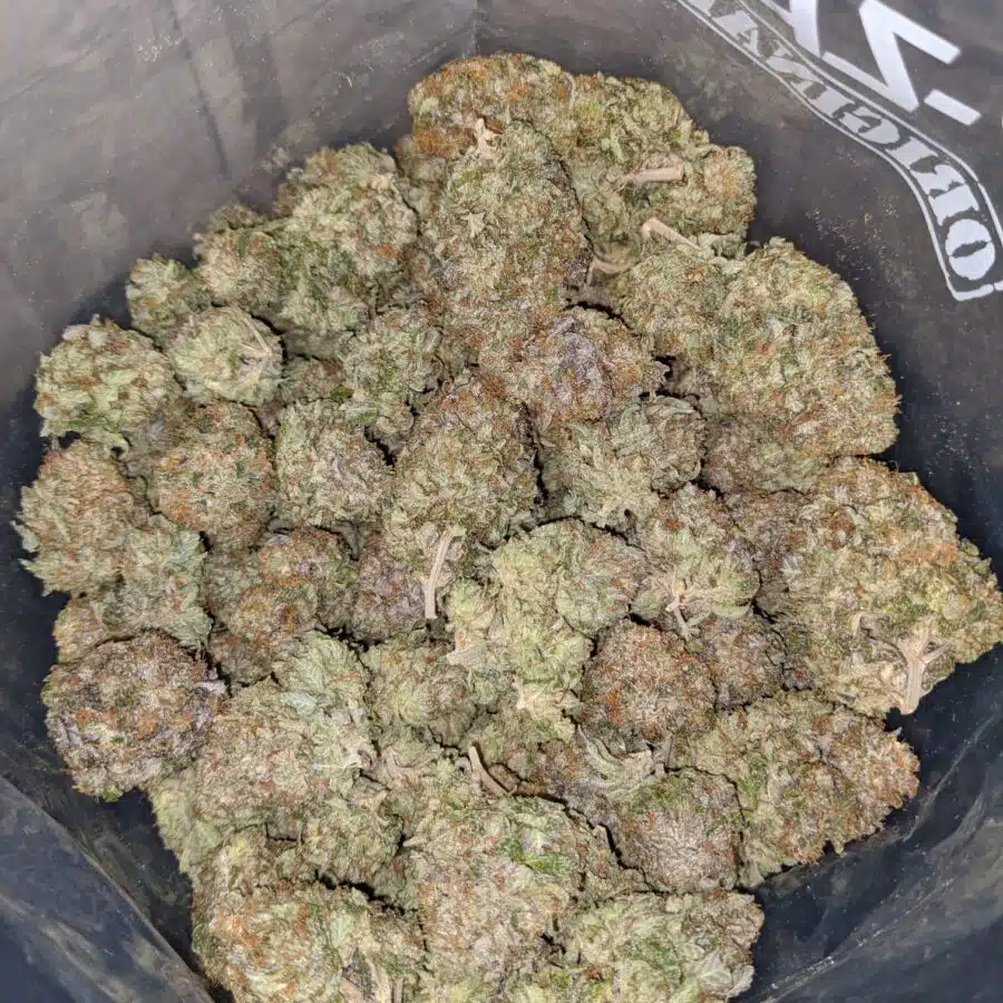 Pink Wreck