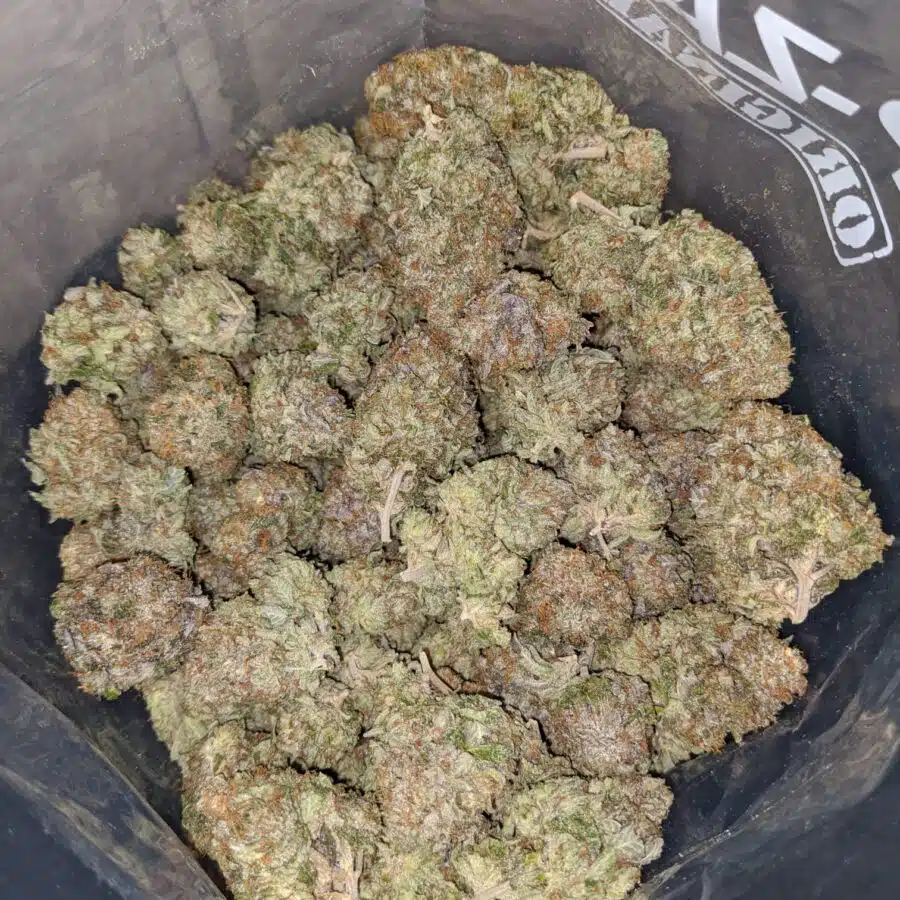 pink wreck 4 I Pink Wreck