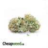 Purple Candyland