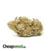 Zombie Kush Fire