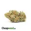 Zombie Kush Fire