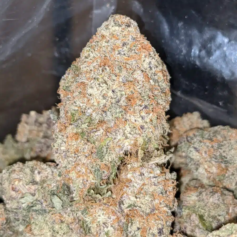 CHERRY CUPCAKE 2 I $79 Oz - Cherry Cupcake