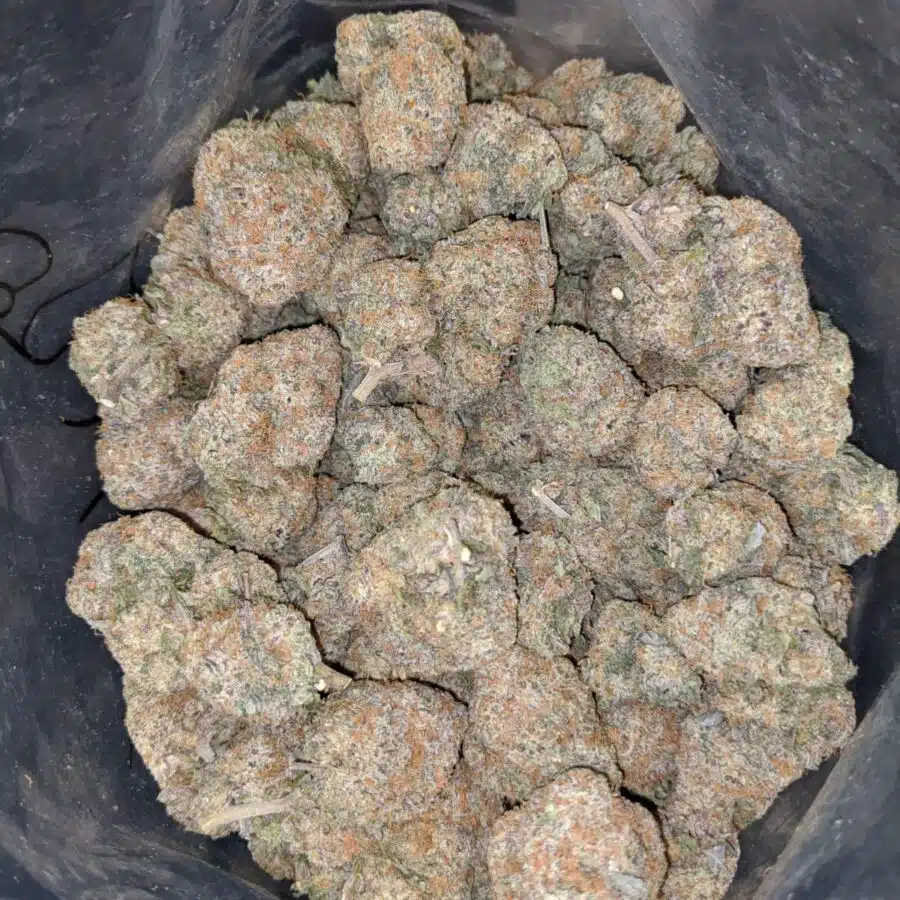 CHERRY CUPCAKE 4 I $79 Oz - Cherry Cupcake
