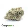 Florida Fine AAAA+ (Ounce)