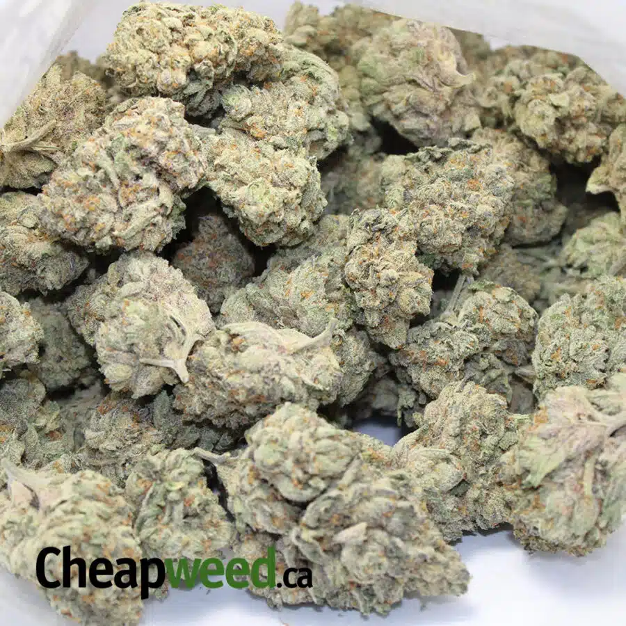 FLORIDA FINE 4 I Florida Fine AAAA+ (Ounce)