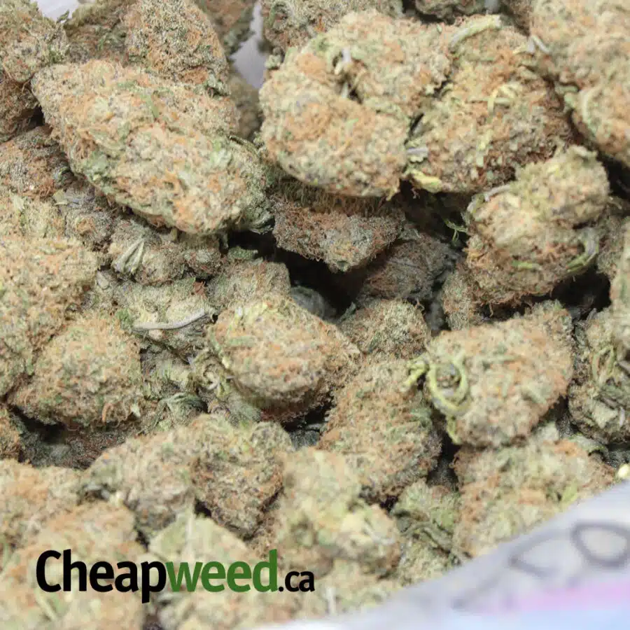 PURPLE GRAPE COOKIES 2 I Purple Grape Cookies