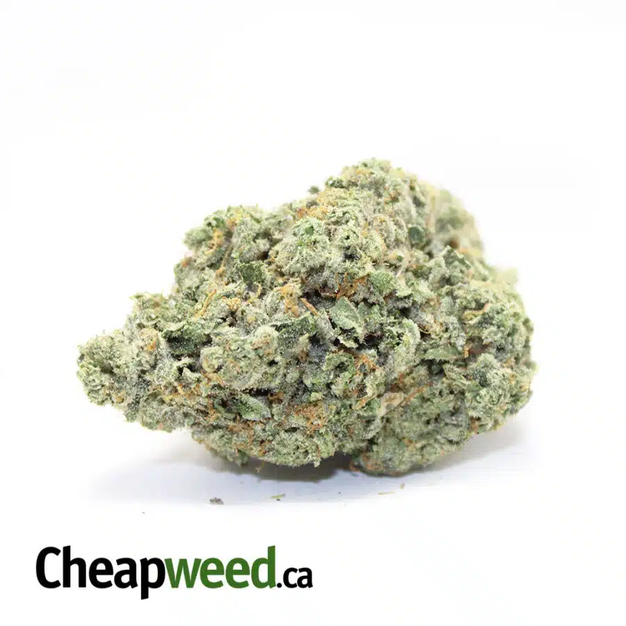 Sherbert Octane AAAA+ (Ounce)