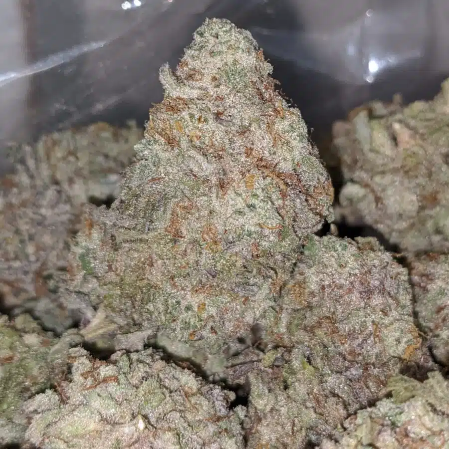 WHITE COOKIES 1 I $ 65 Oz - White Cookies