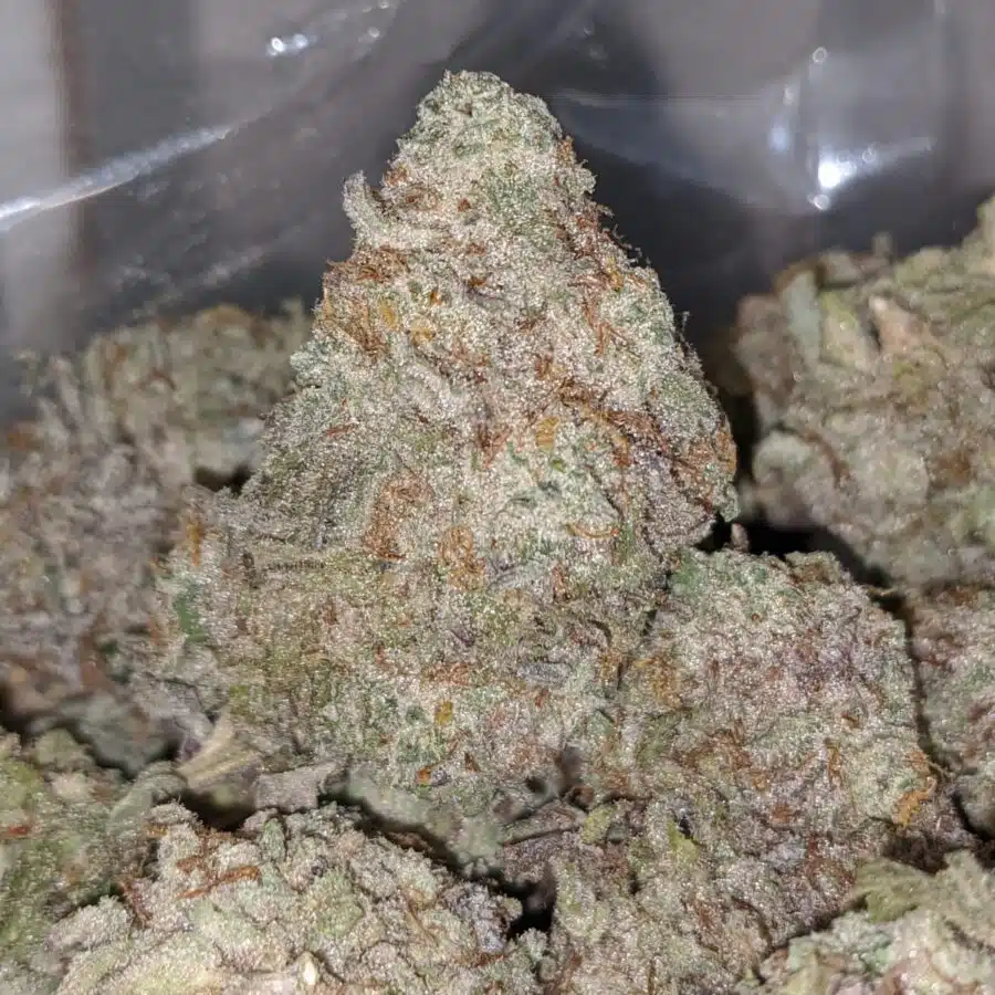 WHITE COOKIES 2 I $ 65 Oz - White Cookies