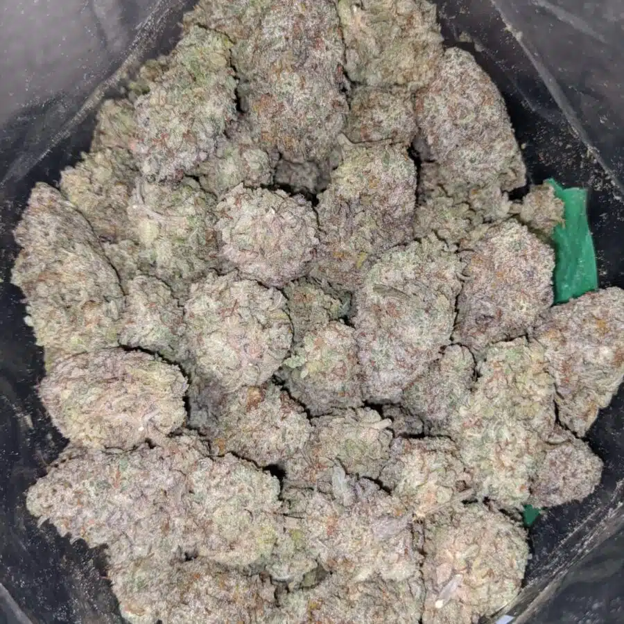 WHITE COOKIES 3 I $ 65 Oz - White Cookies