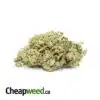 Cheap Purple Bud