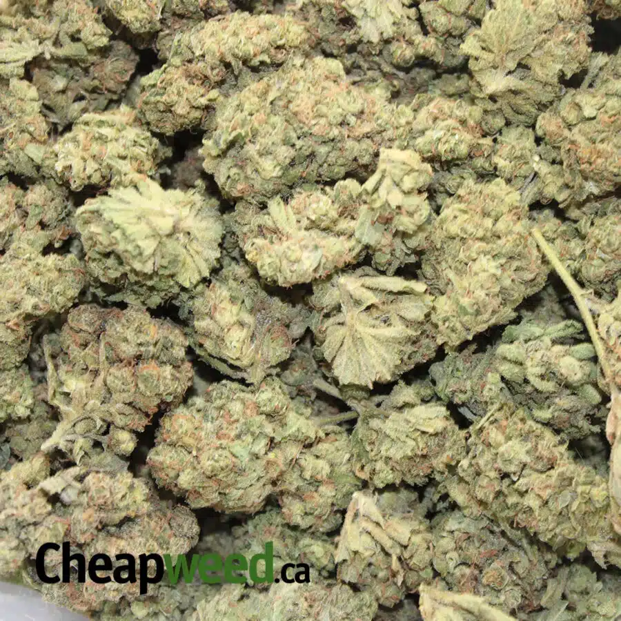 Alternative view of $ 89 Oz - Green Thai