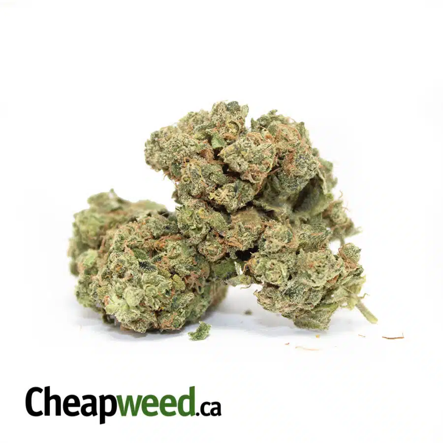 $99 Oz - Green Thai AAA+