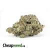 Purple Kush AAAA+