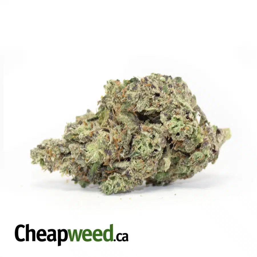 Purple Kush AAAA+