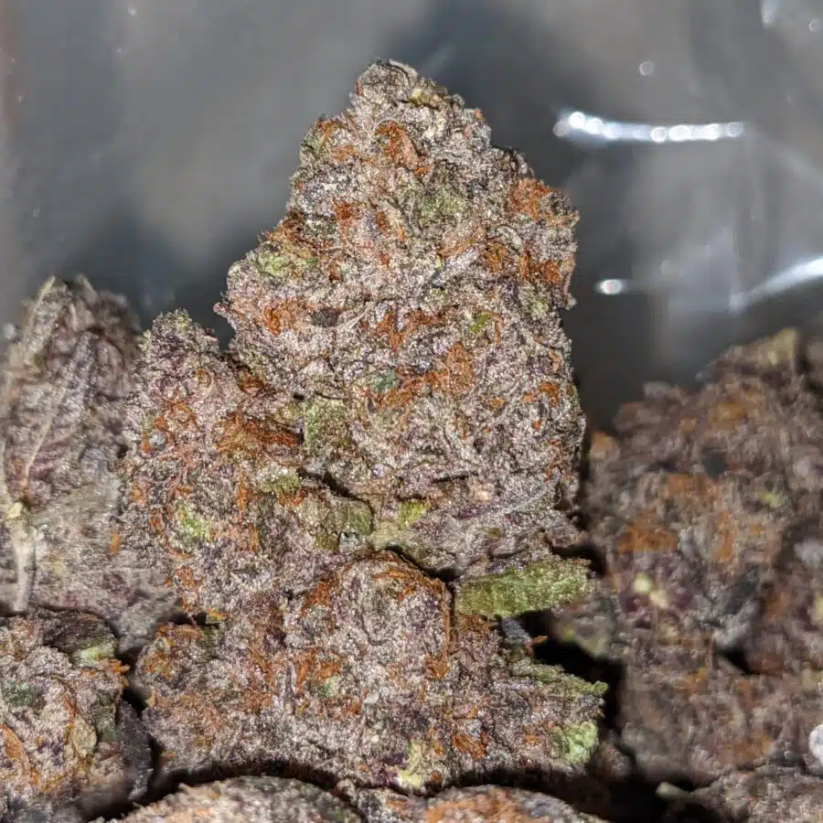 purple galaxy cookies 1 I Purple Galaxy Cookies