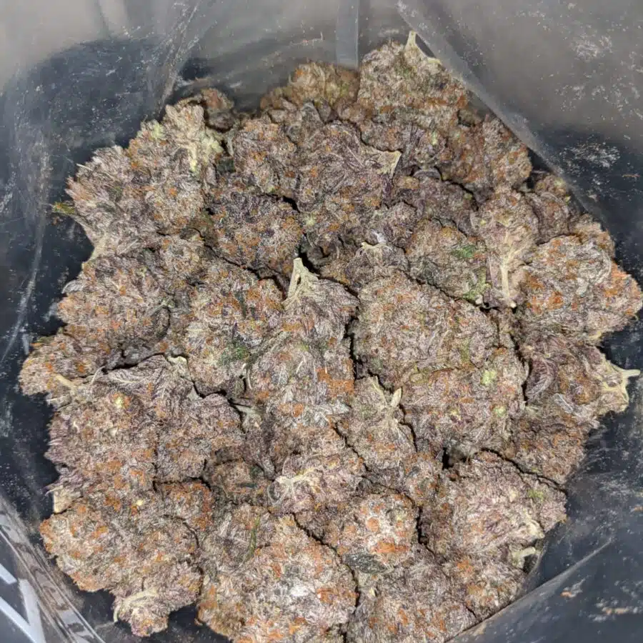 purple galaxy cookies 3 I Purple Galaxy Cookies