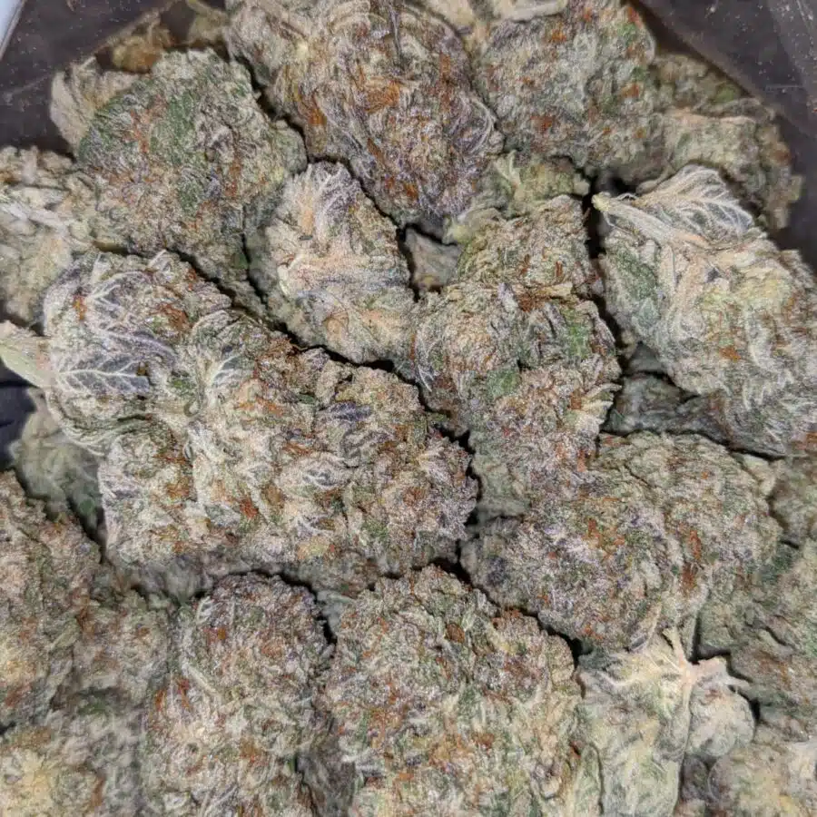 purple jetfuel 1 I $99 Oz - Purple Jetfuel
