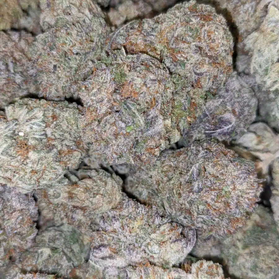 purple jetfuel 3 I $99 Oz - Purple Jetfuel