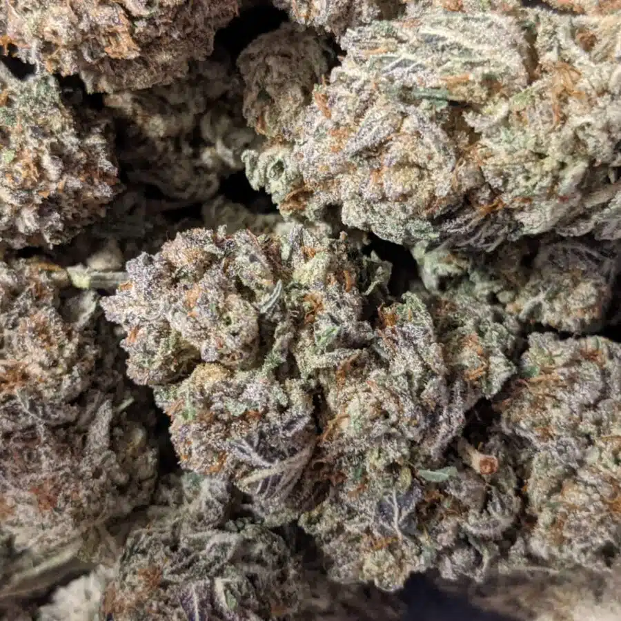 purple jetfuel 5 I $99 Oz - Purple Jetfuel