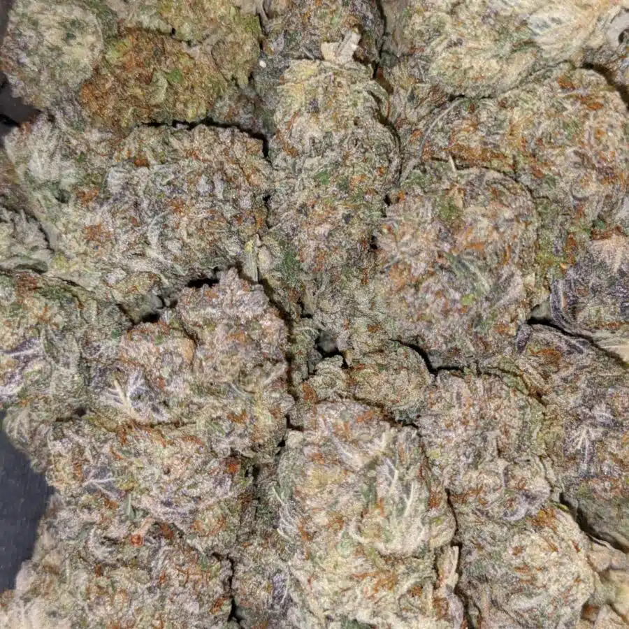 $99 Oz - Purple Jetfuel