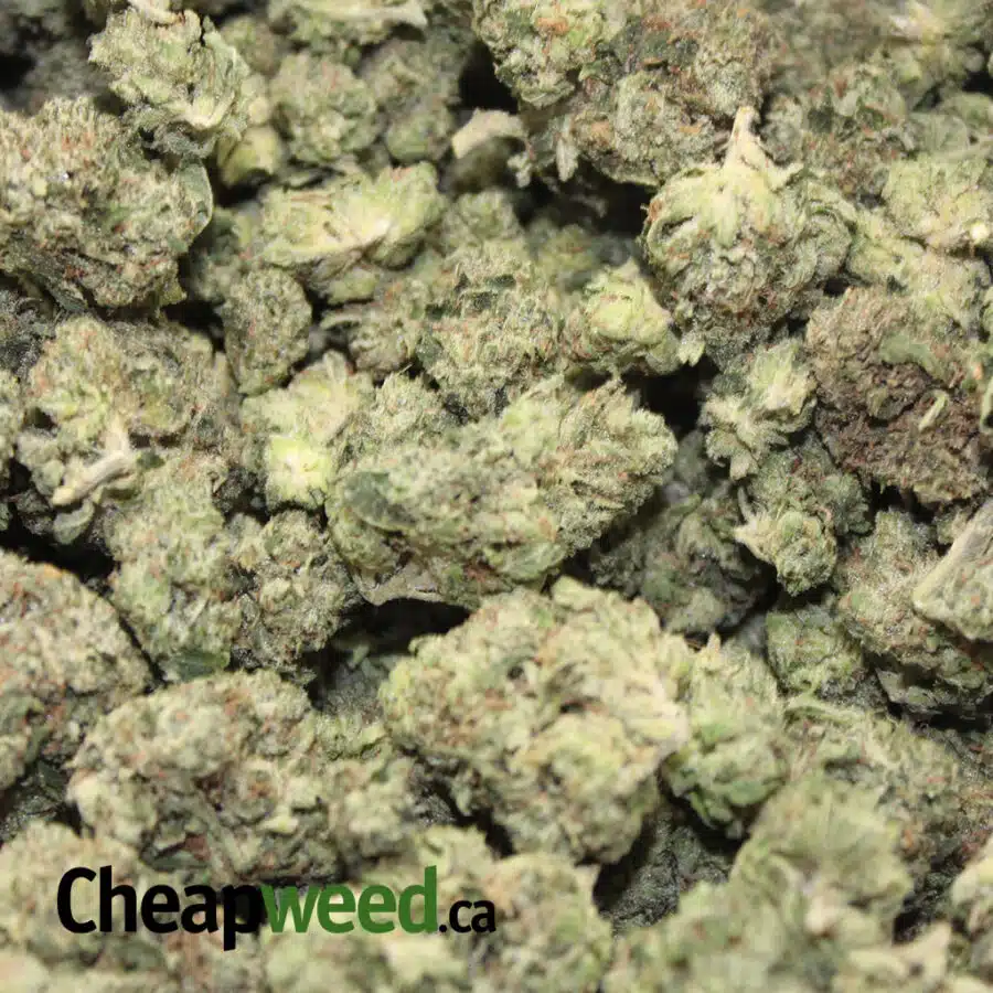 Alternative view of *FLASHSALE* - Select MKU