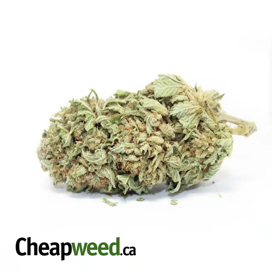 $112 Oz - White Gas Mask AAA
