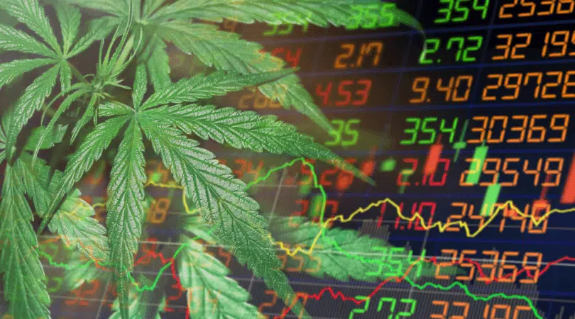 12 Top Marijuana Stocks to Watch