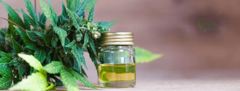 CBD from Hemp vs CBD from Marijuana 