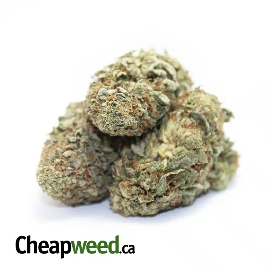 Alternative view of Cheap Purple Sativa